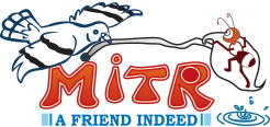 Mitr- A Friend Indeed